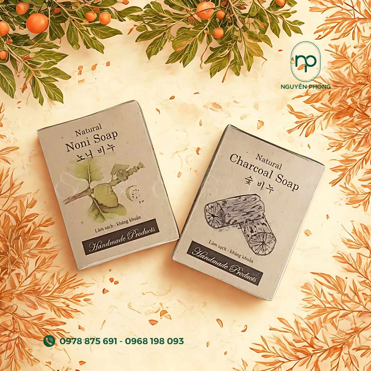 hộp đựng thuốc từ trái nhàu
